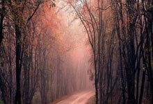 国际米兰欧冠被马竞绝杀全员评分