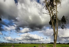 青春的誓言與(yǔ)星(xīng)空下的浪漫：深度解(jiě)析《一起来看流星(xīng)雨(yǔ)》主题曲歌(gē)词